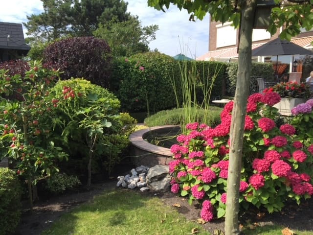 Foto 67 van Aalscholver 3