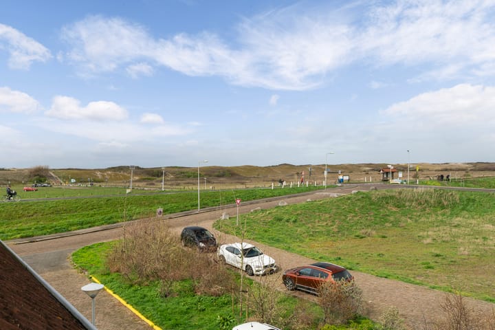 Foto 58 van Aalscholver 3