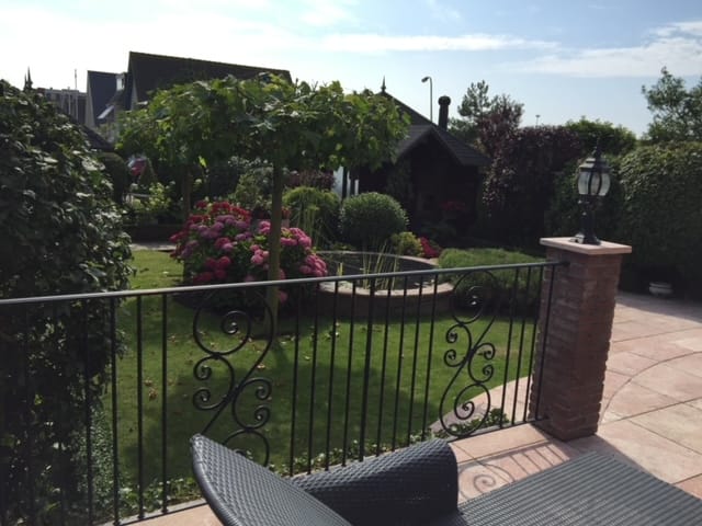 Foto 66 van Aalscholver 3