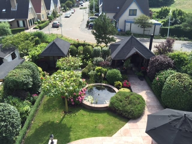 Aalscholver 3