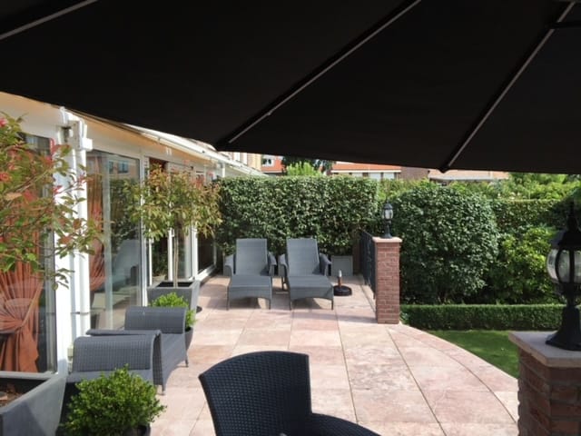 Foto 64 van Aalscholver 3