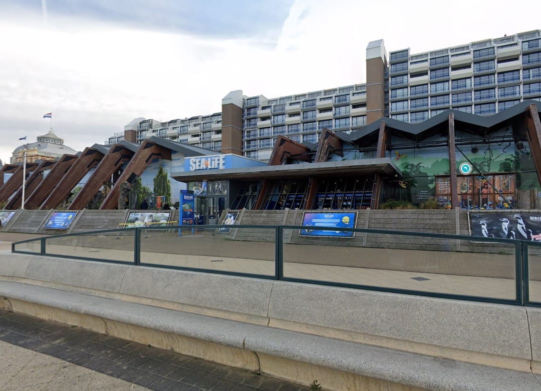 Foto 2 van Rederserf 25