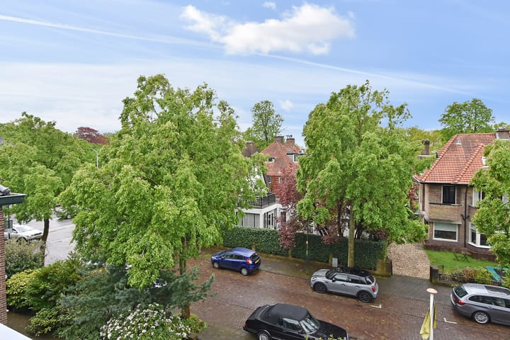 Foto 26 van Schellinglaan 2