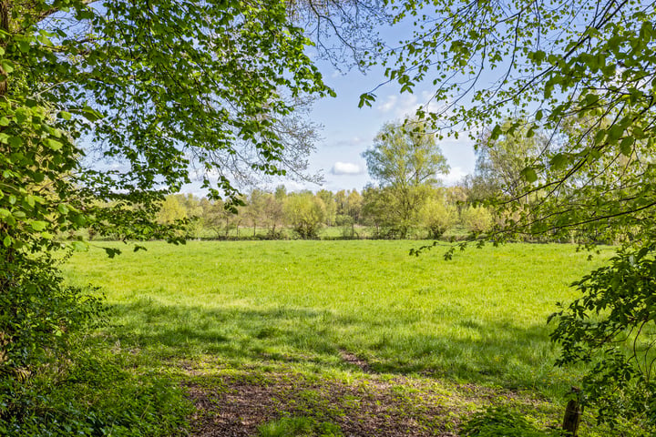 Bekijk foto 44 van Marktveld 5