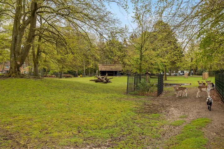 Bekijk foto 3 van Veldweg 26