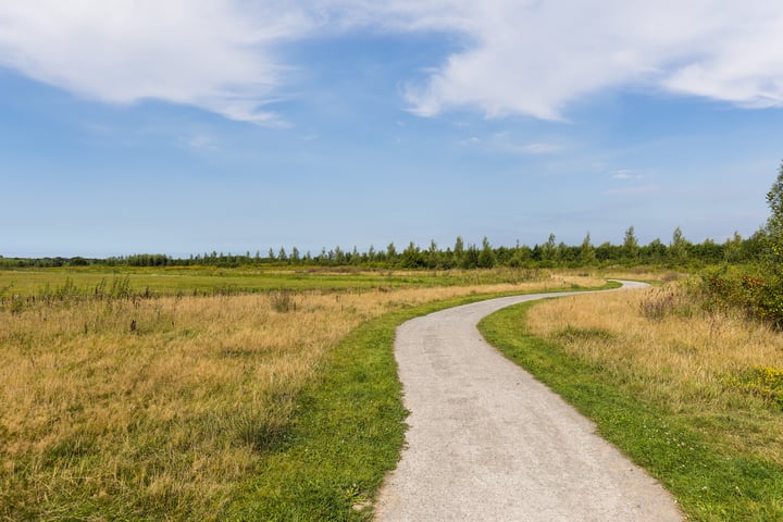 Bekijk foto 31 van Spieringweg 1037