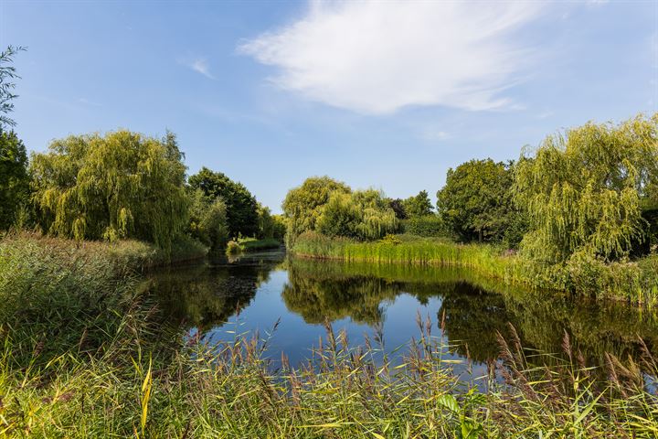 Bekijk foto 30 van Spieringweg 1037