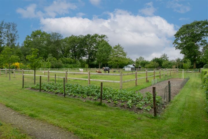 Bekijk foto 28 van Vosseveldseweg 19