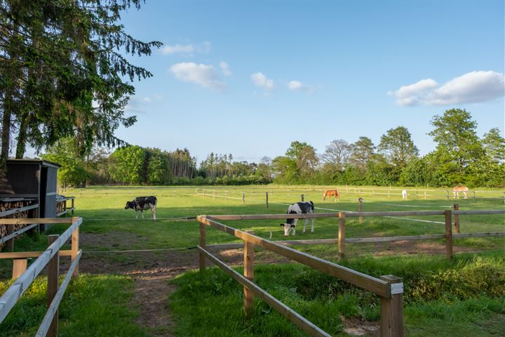 Bekijk foto 46 van Vosseveldseweg 19