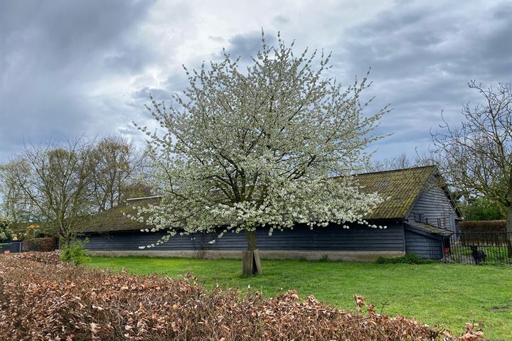 Bekijk foto van Omloop 6 A