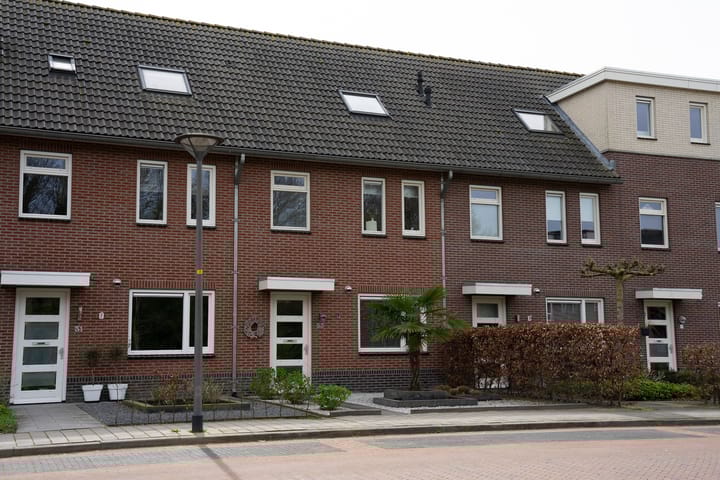 undefined main image