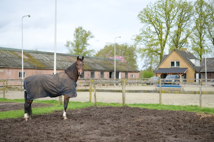 Bekijk foto 10 van Kijkveld 4