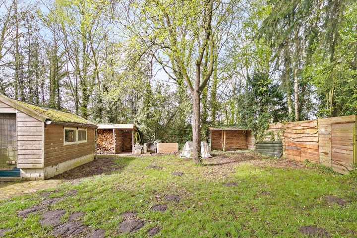 Foto 33 van Zijtak 4