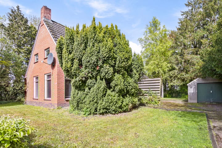 Foto 10 van Zijtak 4