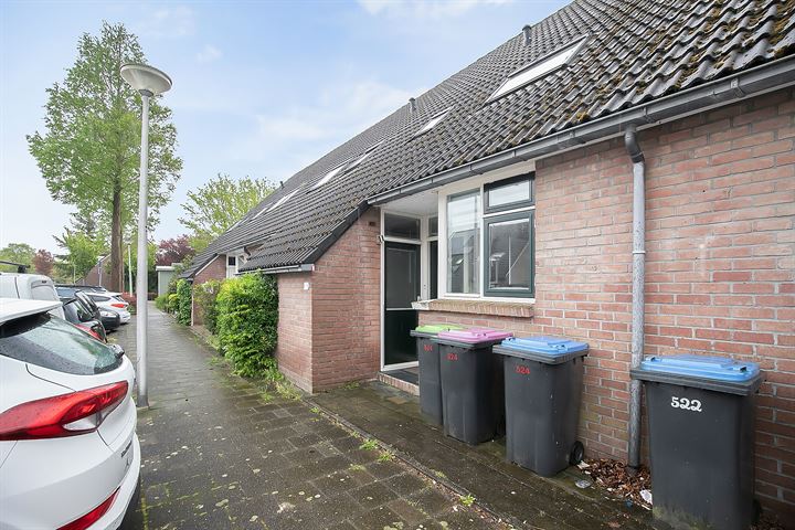 Bekijk foto 1 van Krekelveen 524