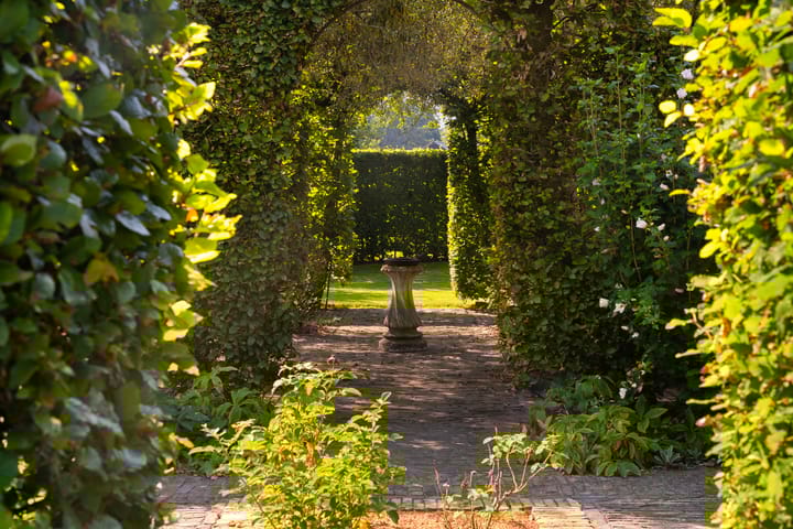 Foto 66 van Kluunvenneweg 2