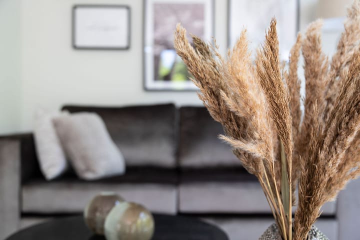 Foto 5 van Amersfoortsestraat 126-B02