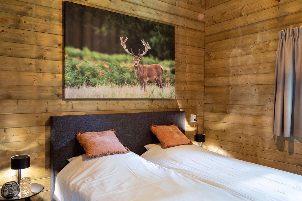 Foto 14 van Amersfoortsestraat 126-B26