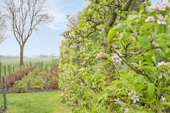 Bekijk foto 30 van Walingsdijk 89