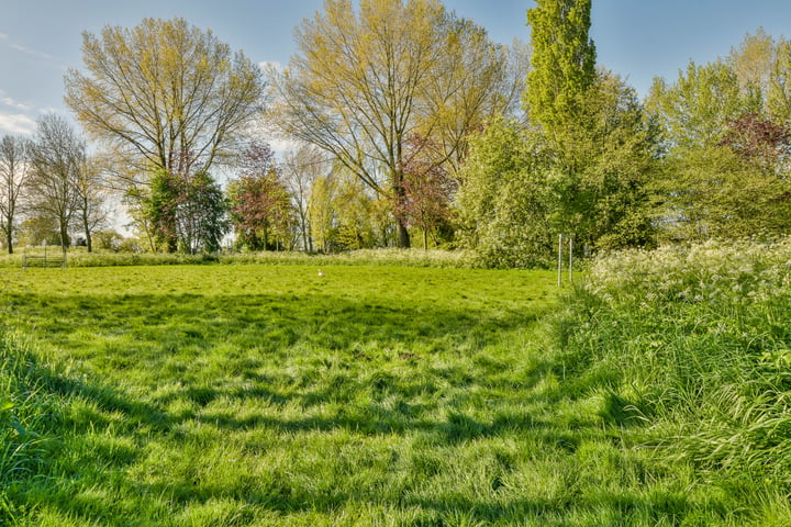 Bekijk foto 29 van Chirurgijnsweg 32