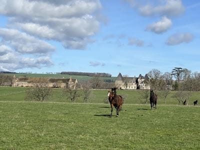 Foto 4 van Les Bruyères 1
