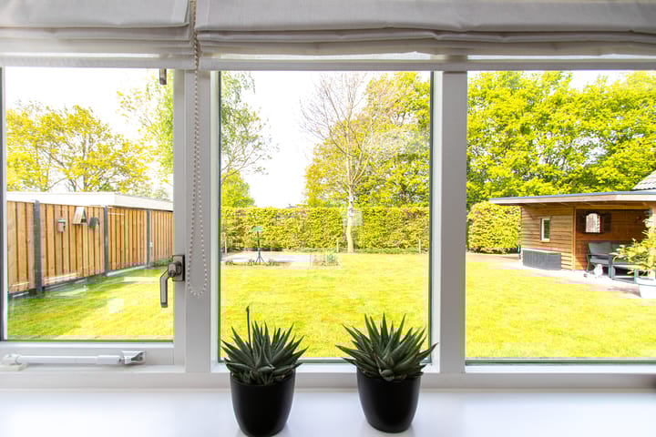 Foto 7 van Geelrijs 13