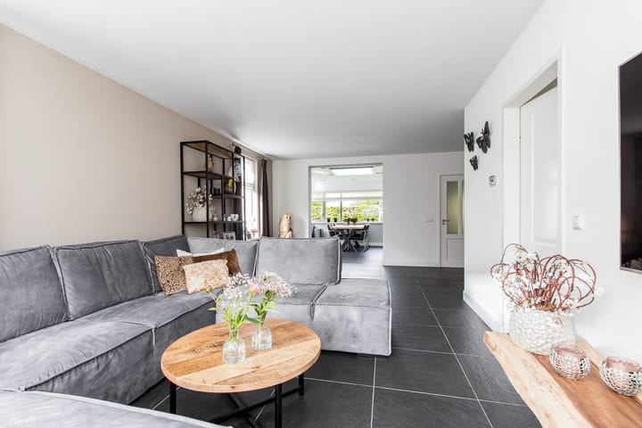 Foto 22 van Geelrijs 13