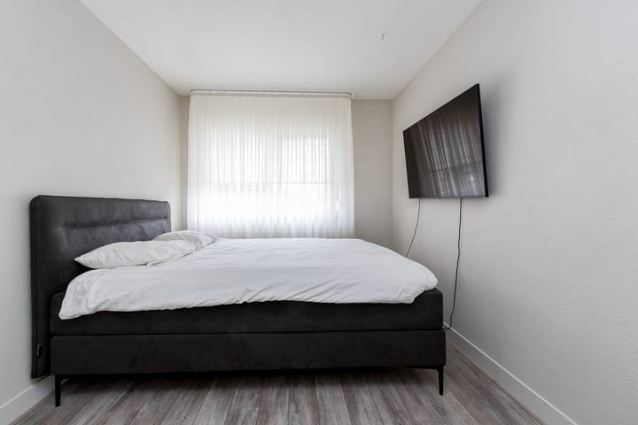 Foto 43 van Geelrijs 13