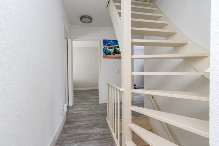 Foto 45 van Geelrijs 13