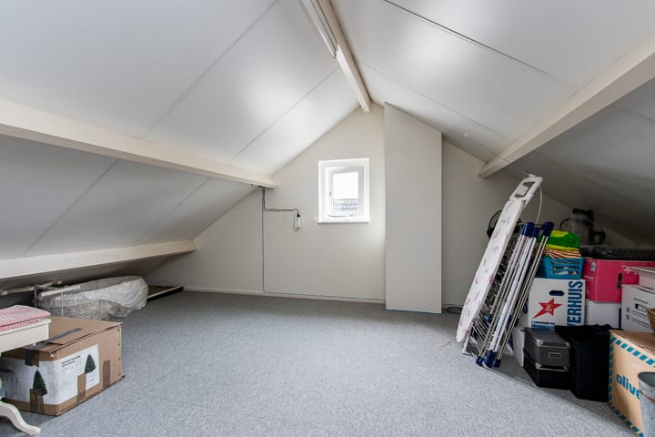 Foto 47 van Geelrijs 13