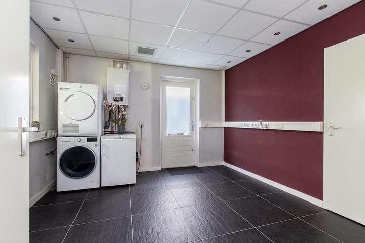 Foto 15 van Geelrijs 13