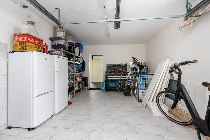 Foto 71 van Geelrijs 13