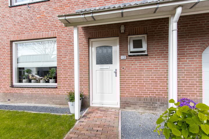 Foto 72 van Geelrijs 13