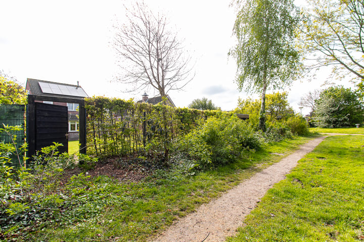 Foto 81 van Geelrijs 13