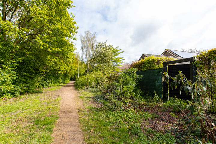 Foto 82 van Geelrijs 13
