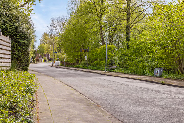 Bekijk foto 45 van Wimpel 26