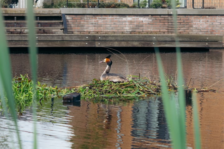 Bekijk foto 40 van Liefkenshoek 28