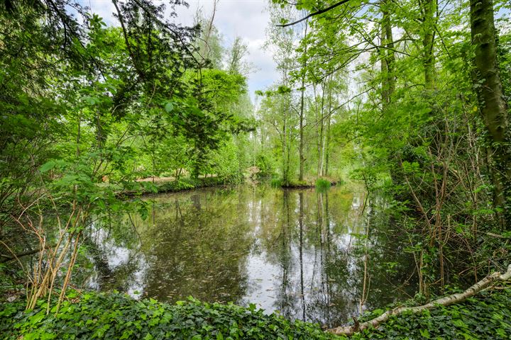 Bekijk foto 2 van Heideweg 10