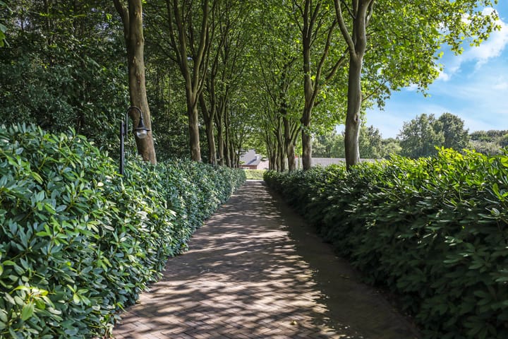 Foto 5 van Korenweg 3