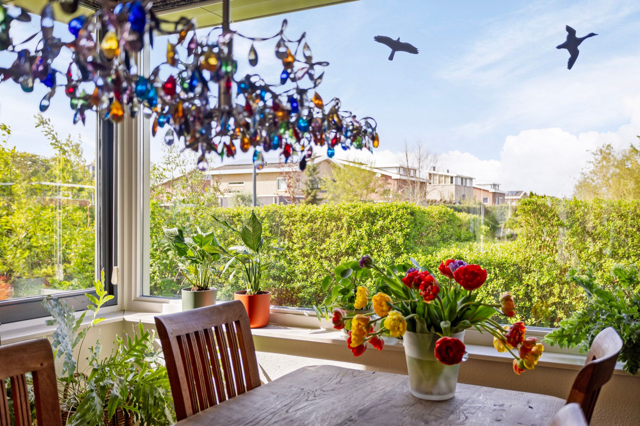 Foto 15 van Albatroslaan 122