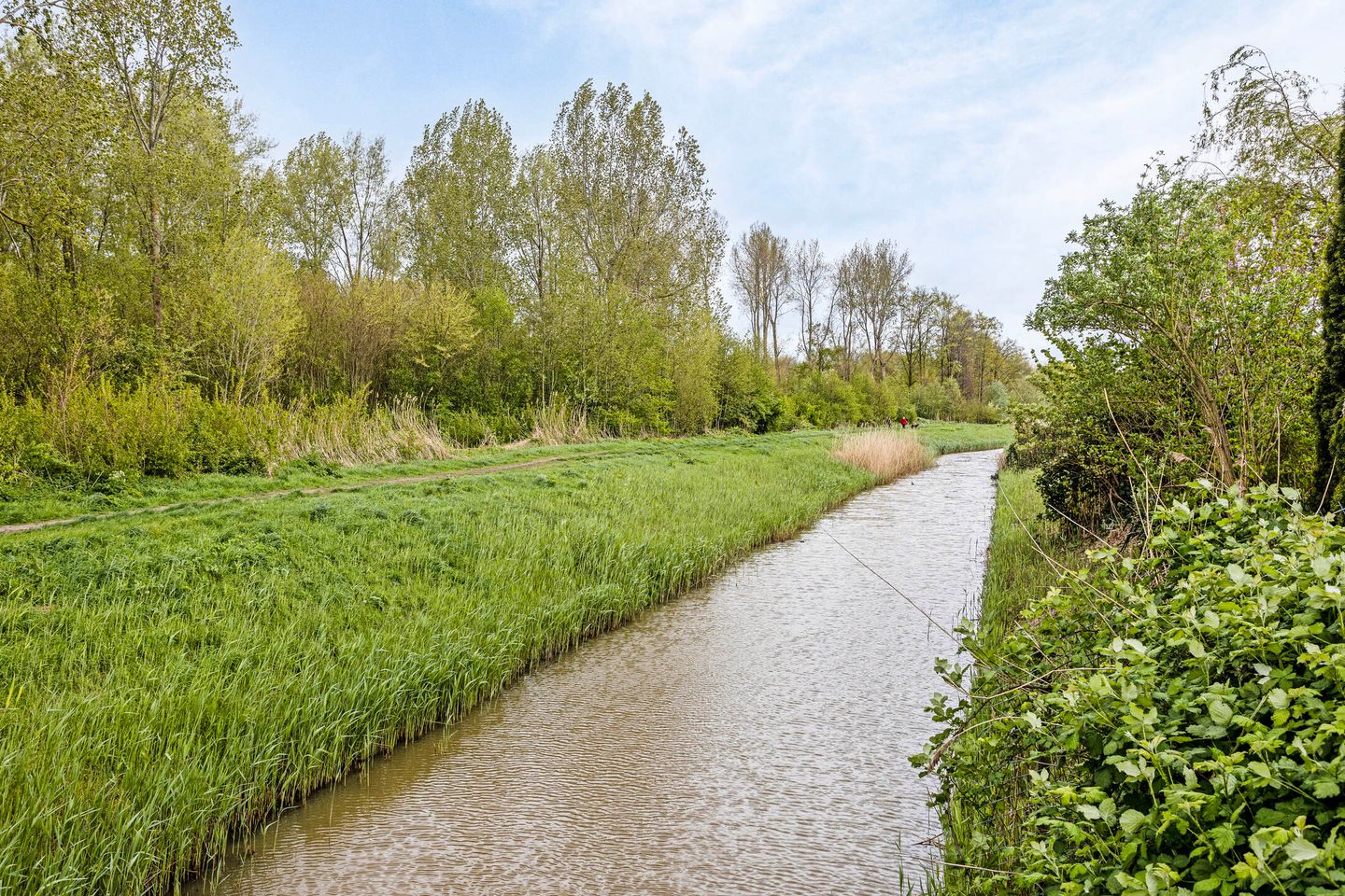 Foto 29 van Albatroslaan 122