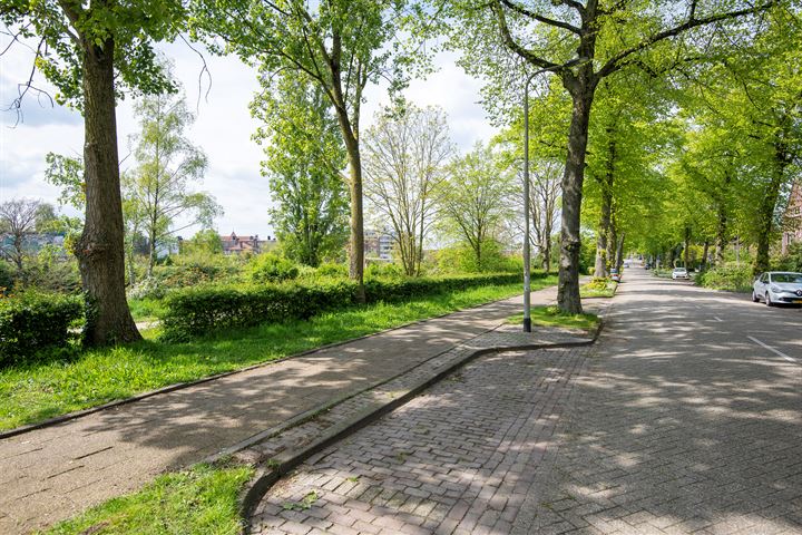 Bekijk foto 43 van Oude Groenewoudseweg 248