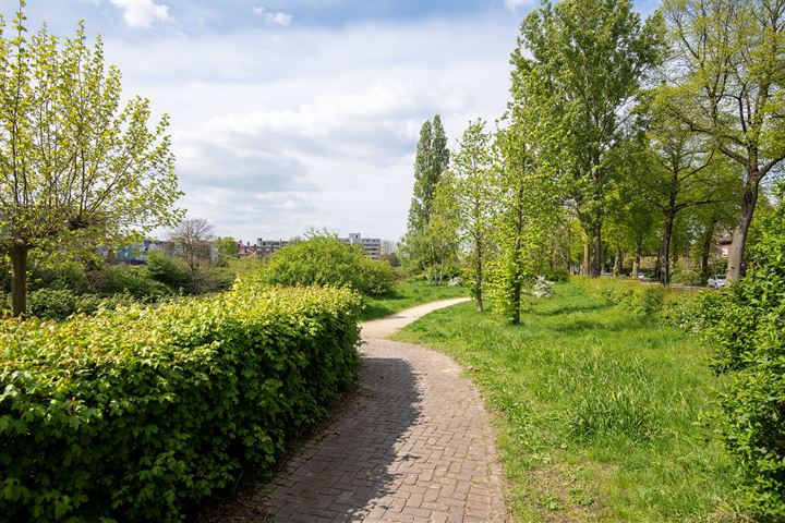 Bekijk foto 44 van Oude Groenewoudseweg 248