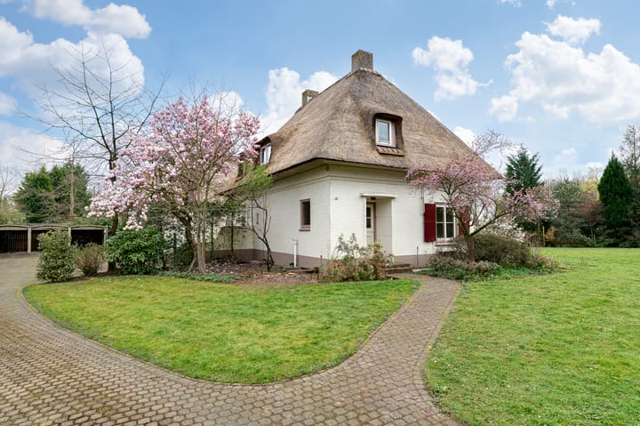 Foto 6 van Dommelstraat 2