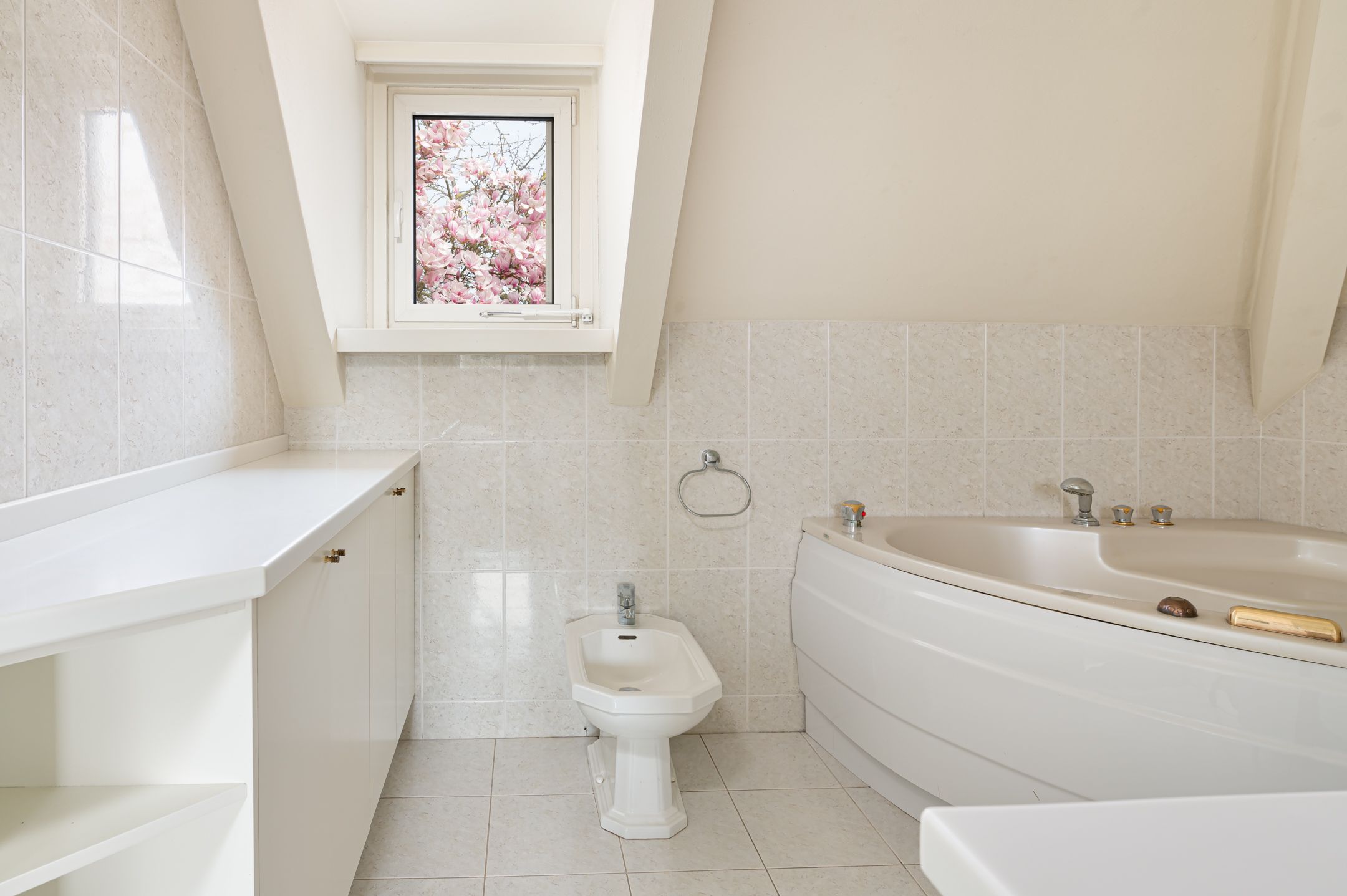 Photo 27 of Dommelstraat 2