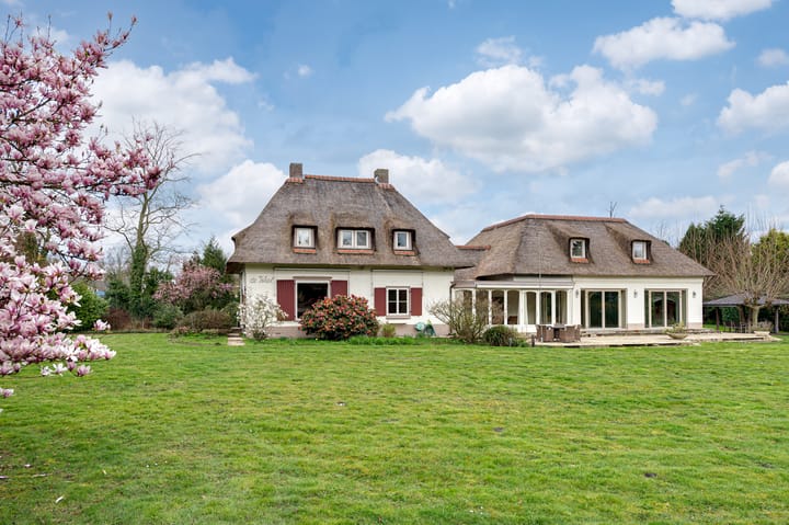 Foto 33 van Dommelstraat 2