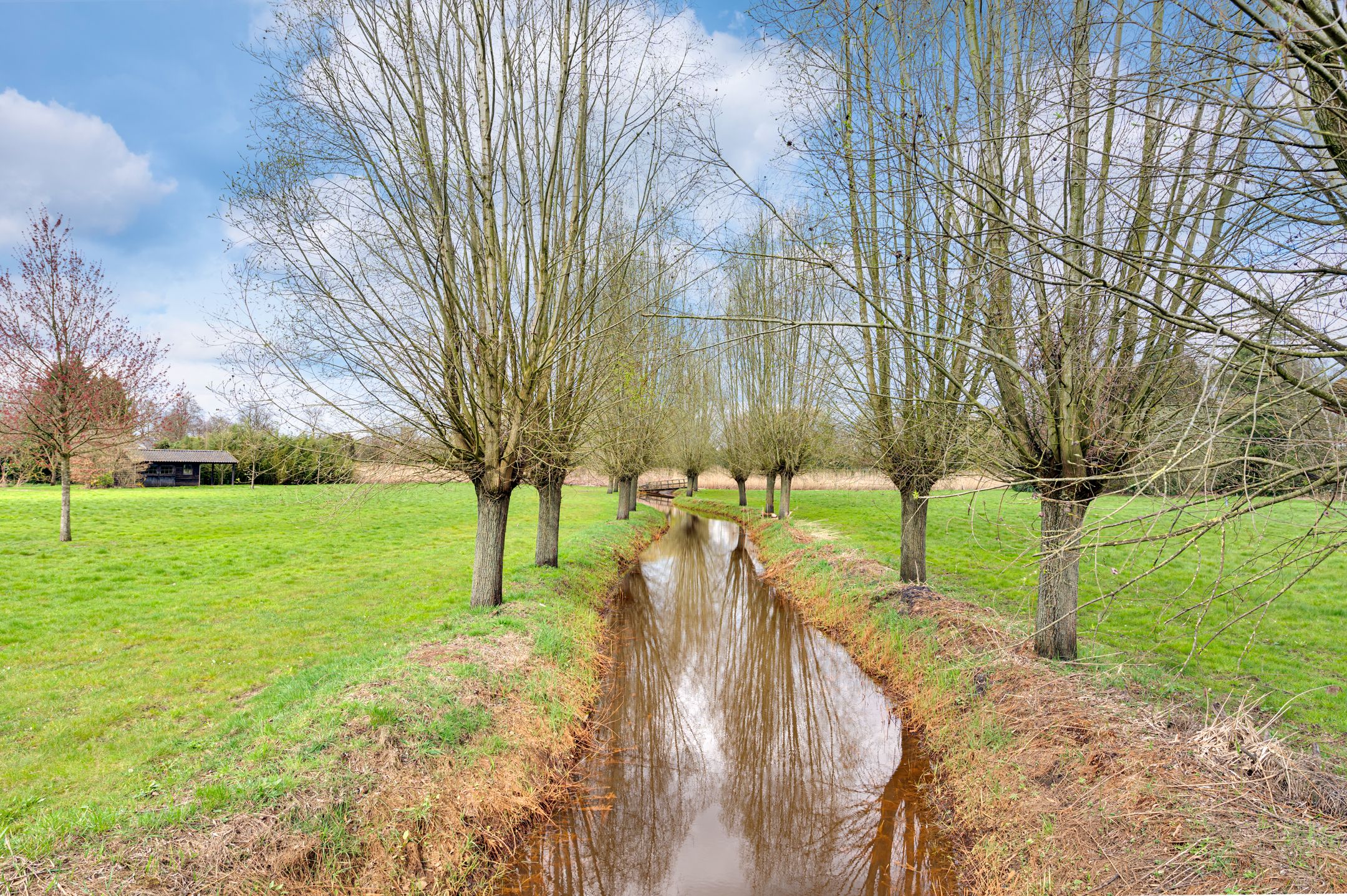 Photo 39 of Dommelstraat 2