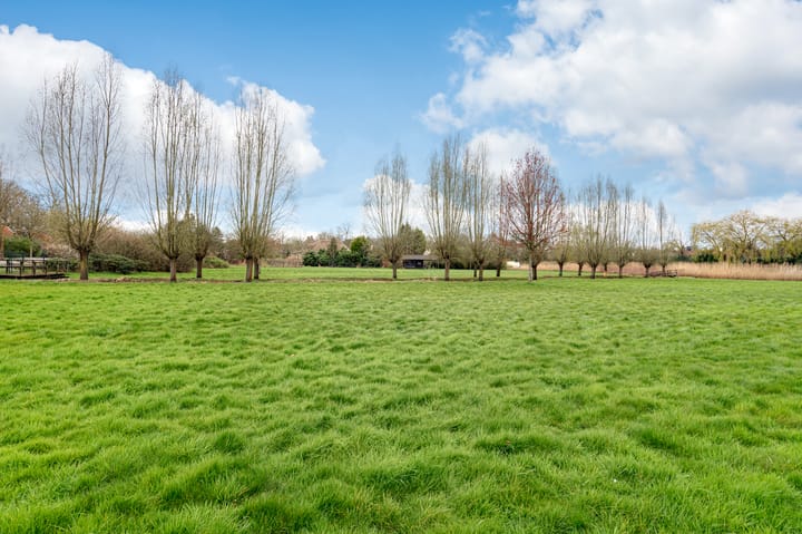 Foto 40 van Dommelstraat 2