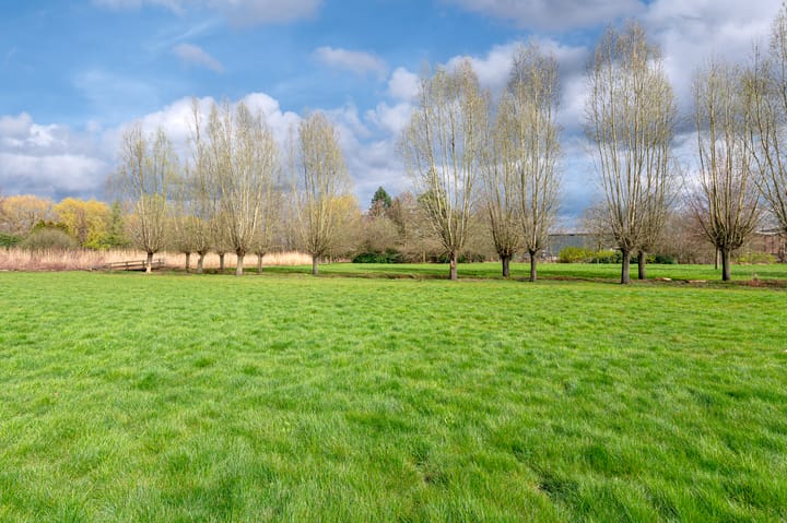 Foto 43 van Dommelstraat 2