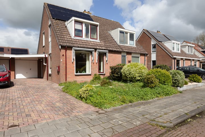 undefined main image